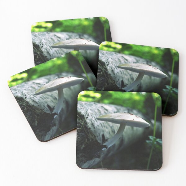 Item preview, White mushroom growing from the tree trunk designed and sold by Trin4ever.