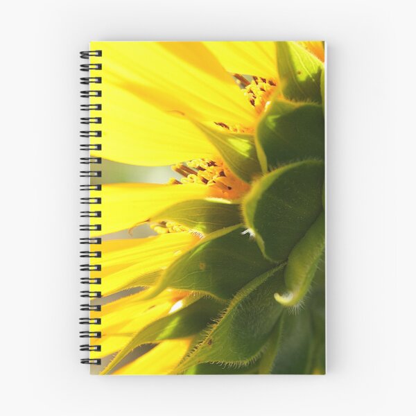 Item preview, Behind the Scenes designed and sold by Rachel Stickney.