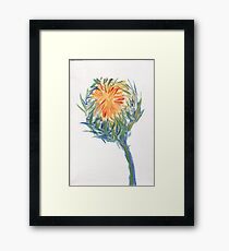 Sunflower 2 Framed Print