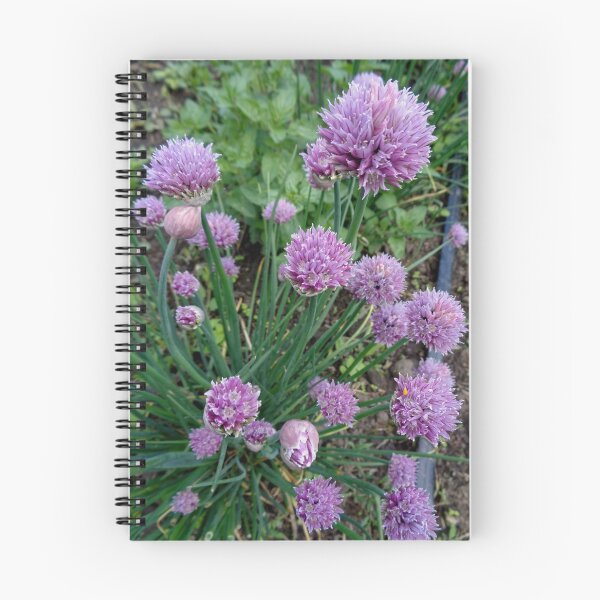 Item preview, Purple chives flowers designed and sold by Ana Belaj.