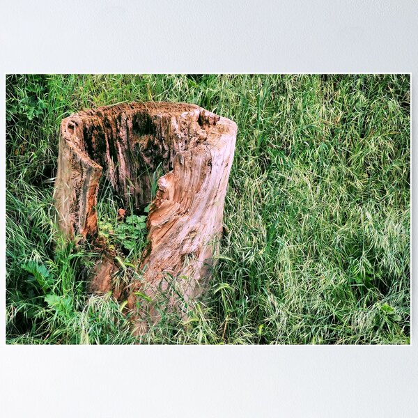 Item preview, Rotten Stump designed and sold by Ihosvanny Cordoves.
