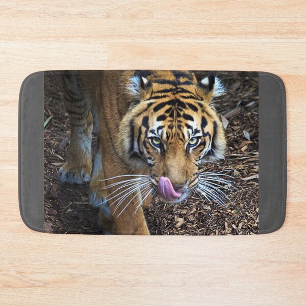 Item preview, 1927 Tiger designed and sold by Hans Kawitzki.