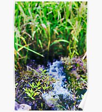 water source Poster
