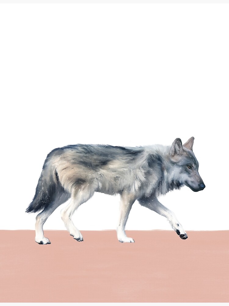 Wolf on Blush by AmyHamilton