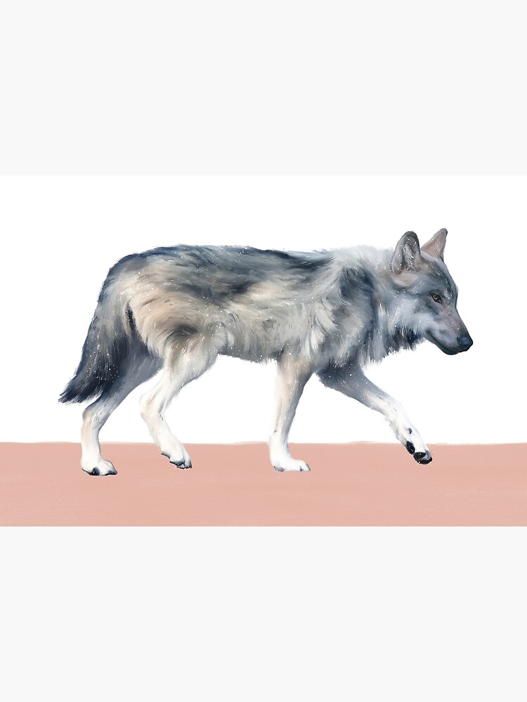 Wolf on Blush by AmyHamilton