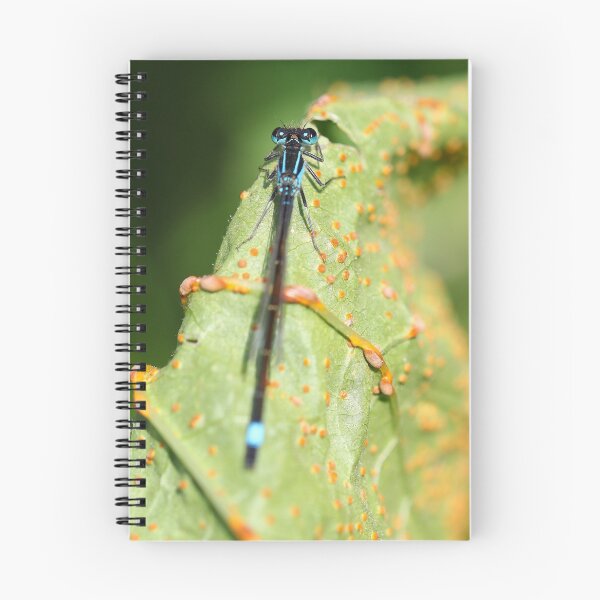 Item preview, Tiny damselfly designed and sold by GreyFeatherPhot.