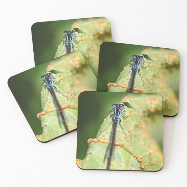 Item preview, Tiny damselfly designed and sold by GreyFeatherPhot.