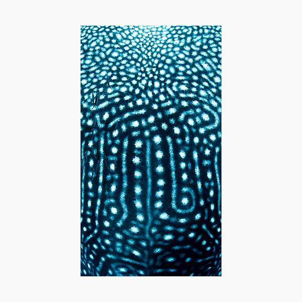 Item preview, Whale Shark Spots designed and sold by Jesshaddenphoto.