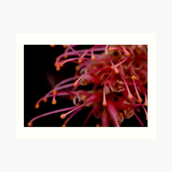In the rain Art Print
