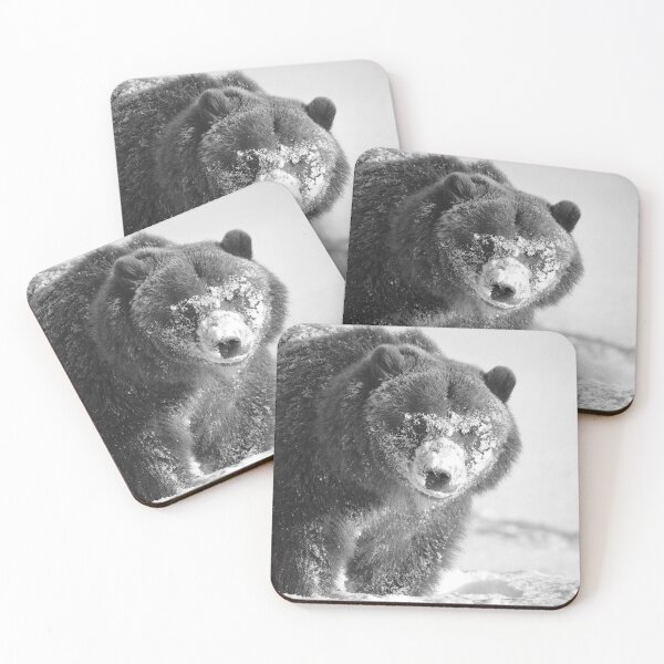Item preview, Alaskan Grizzly Bear in Snow - 3, B & W designed and sold by AlsknMommaBear2.