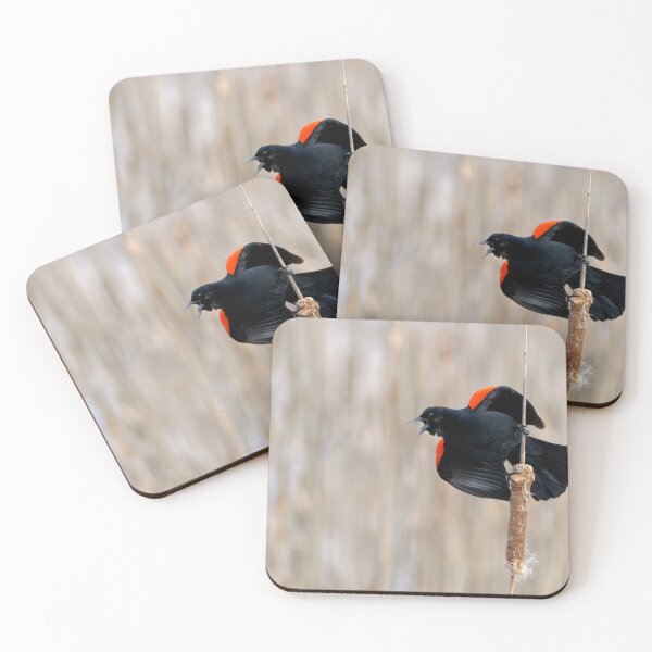 Item preview, Red-winged Blackbird in the Marsh designed and sold by Heather Pickard.