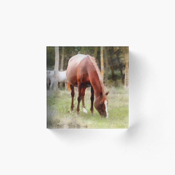Pregnant Tan Mare Grazing Acrylic Block