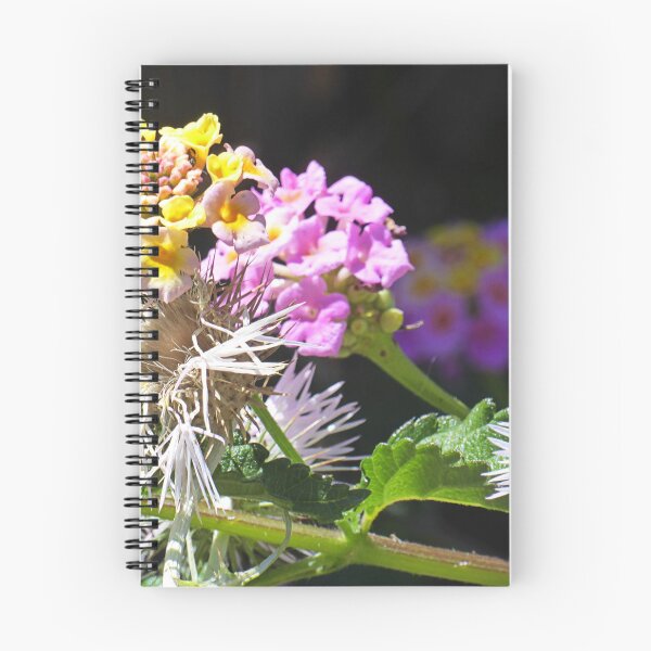 Item preview, Blooms and black designed and sold by Paul Pasco.