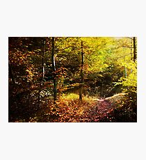 autumn Photographic Print