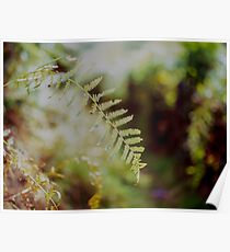 Leafy Bokeh Poster