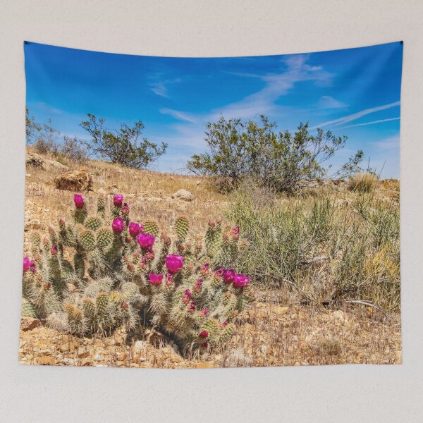 Item preview, Desert Cacti in Bloom - 3 designed and sold by AlsknMommaBear2.