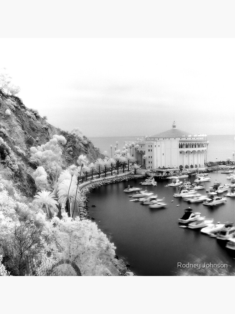 Casino Ballroom, Avalon, California (9/6/2010) by rodneyj46