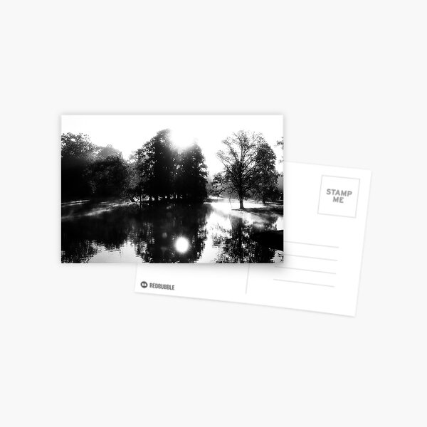 Early Morning Mist - Spring Grove Cemetery Postcard