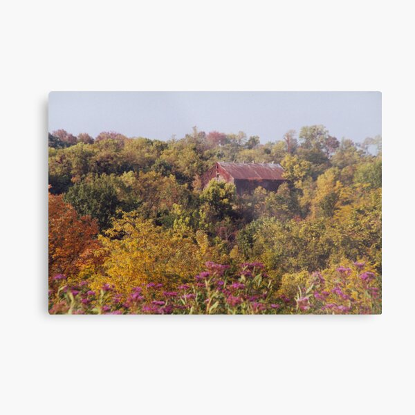 Mr. McElheney's Barn Metal Print