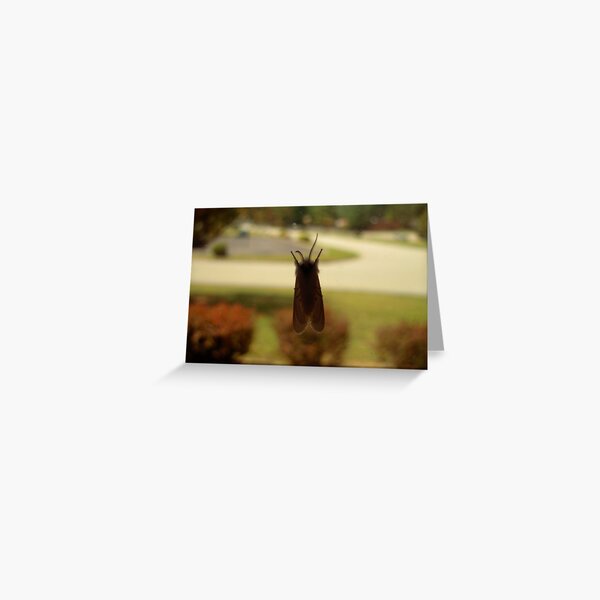 Inside Out Greeting Card