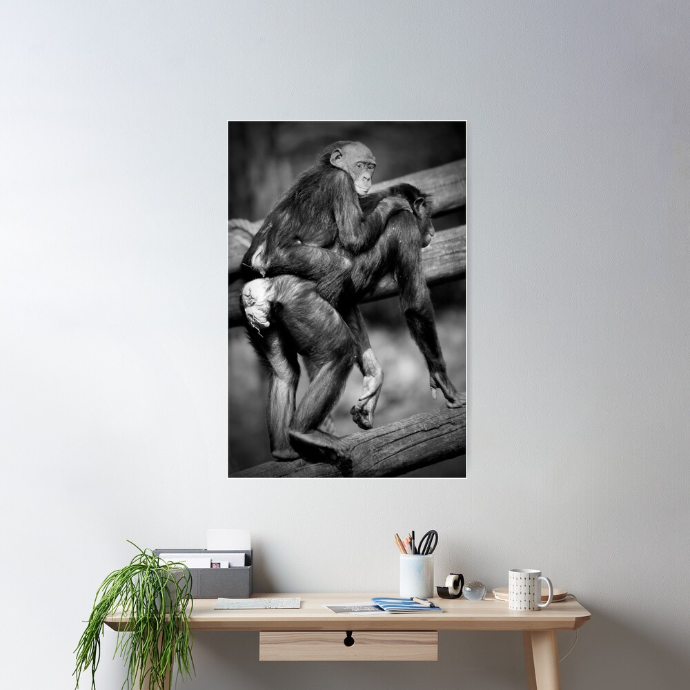 Papped Poster