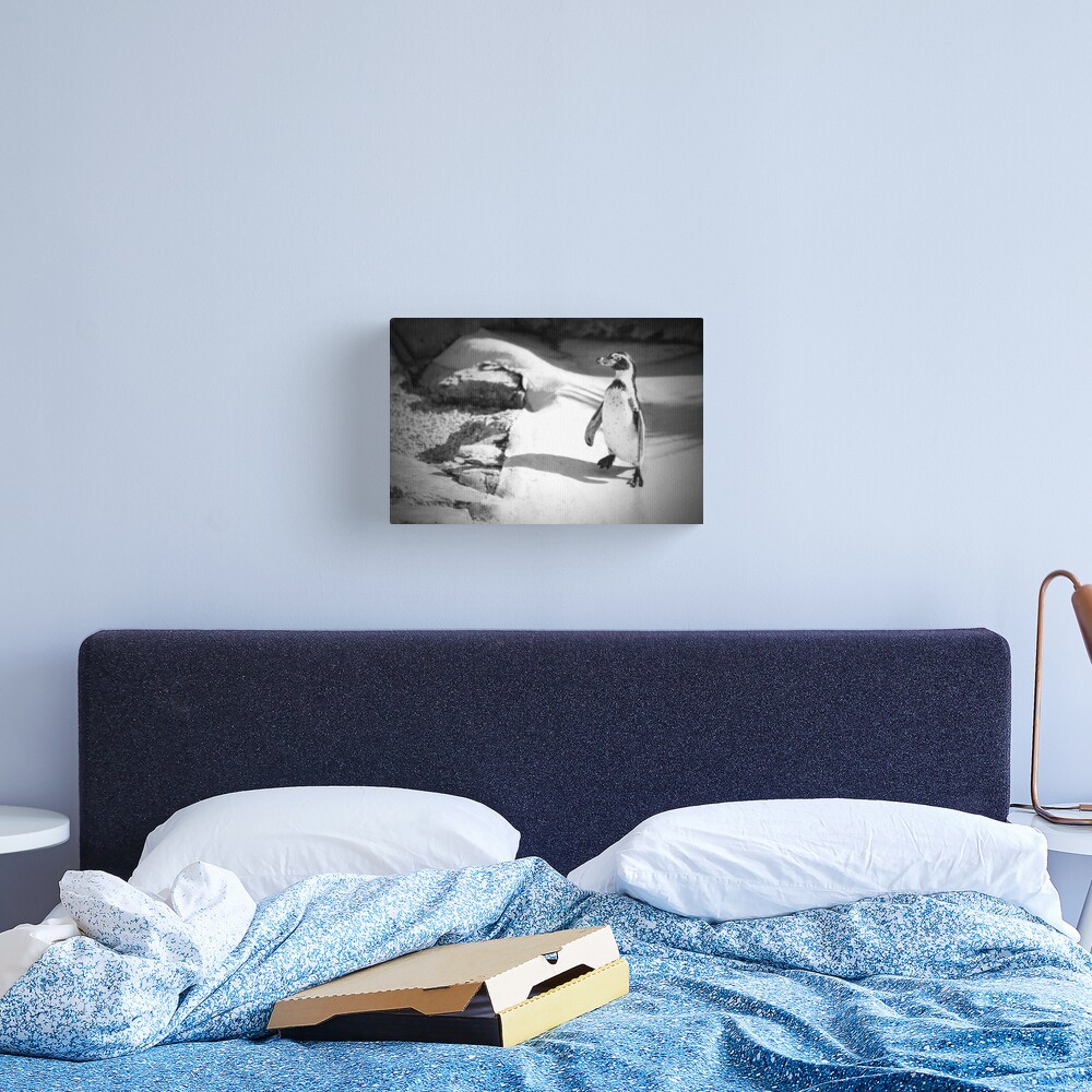 Lonely Penguin Canvas Print
