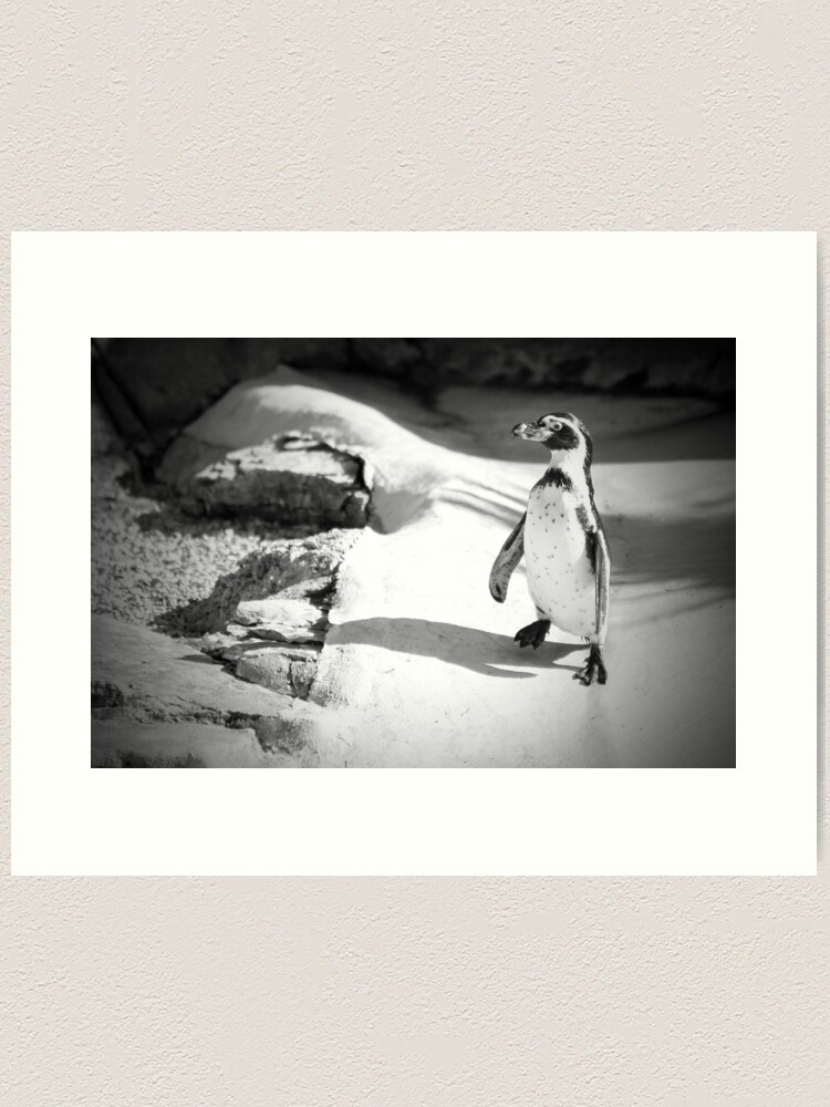 Alternate view of Lonely Penguin Art Print