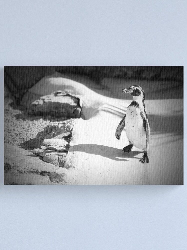 Alternate view of Lonely Penguin Canvas Print
