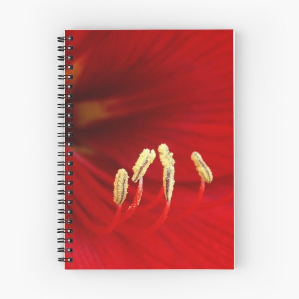 Item preview, Red flower designed and sold by Juan-Luis.