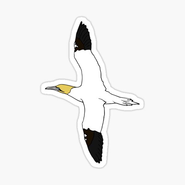 Item preview, Flying Gannet  designed and sold by stephaniepeters.