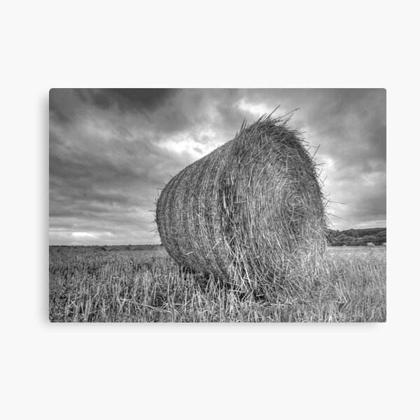 The Giant Metal Print