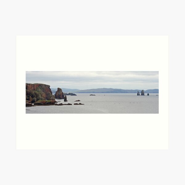 Art Print