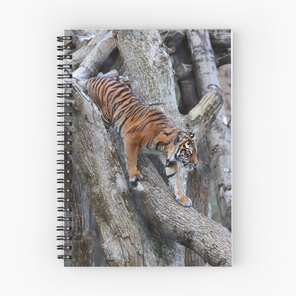 Item preview, Sumatran Tiger designed and sold by Sheila Smith.