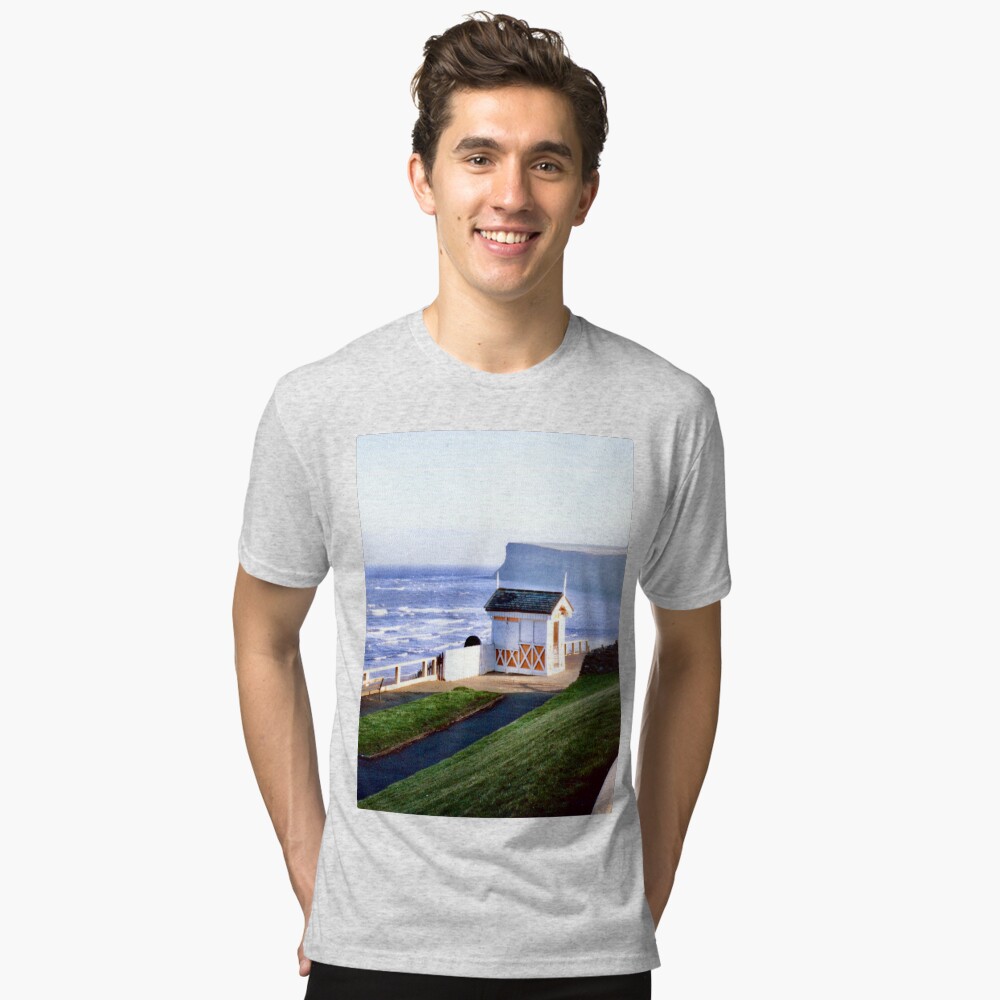 Item preview, Tri-blend T-Shirt designed and sold by nikhorne.