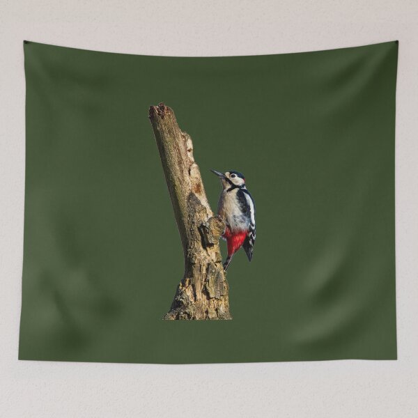 Item preview, Woodpecker  designed and sold by peterwyatt.