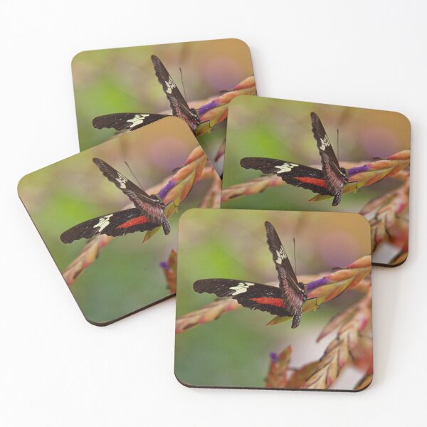 Item preview, Guatemala. Atitlan Natural Reserve. Butterfly. designed and sold by vadim19.