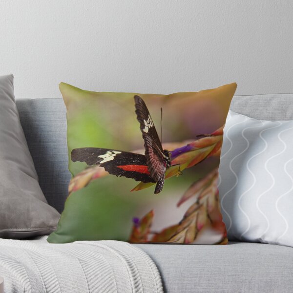 Item preview, Guatemala. Atitlan Natural Reserve. Butterfly. designed and sold by vadim19.