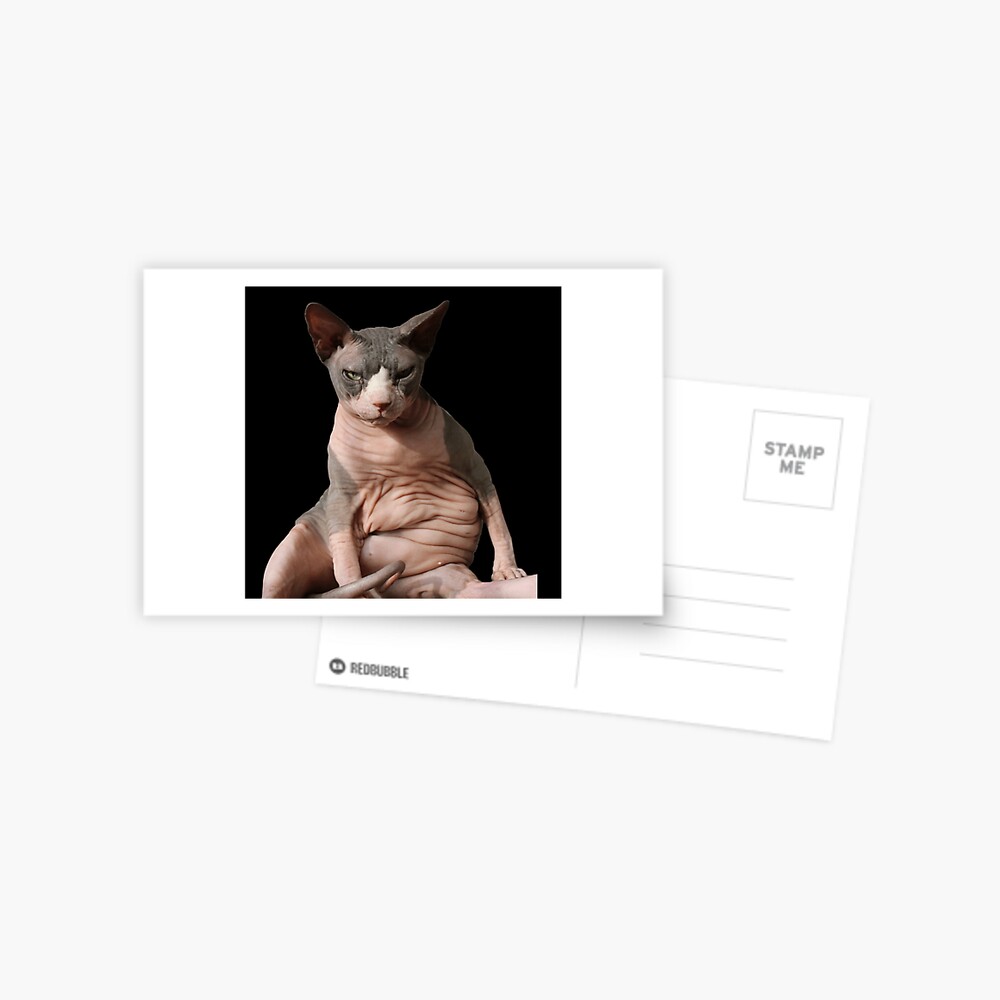 Mi Gato Sphynx Se Ensucia Mucho Tarjetas de felicitación «Gato gigante sin pelo» de nekodokai1 | Redbubble