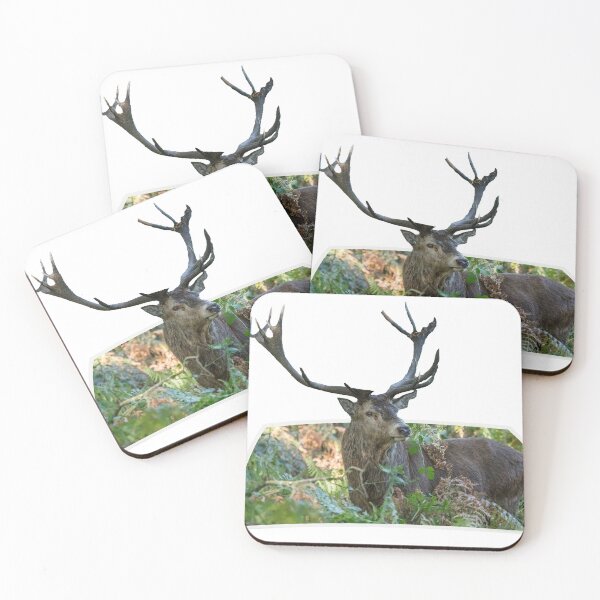 Item preview, Stag out the photo designed and sold by peterwyatt.