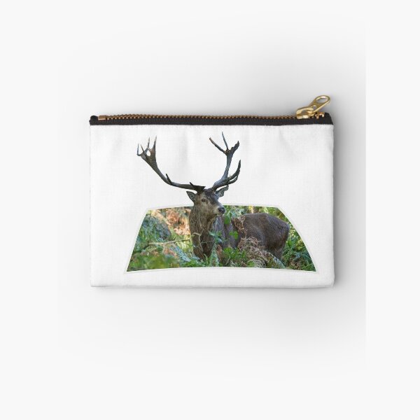 Item preview, Stag out the photo designed and sold by peterwyatt.