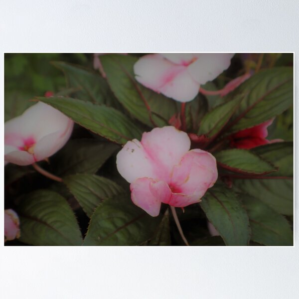 Item preview, Darkness in disguise. designed and sold by Retro-C22.