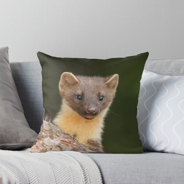 Item preview, Peeking Pine marten designed and sold by blackislehides.