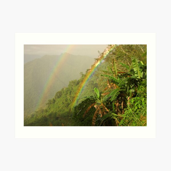 Double Rainbow Art Print