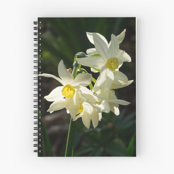 Item preview, Jonquils in the sun designed and sold by polyhymnia14.
