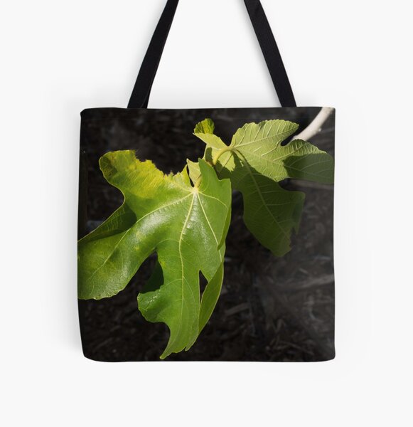 Item preview, Sunlight on fig leaves designed and sold by polyhymnia14.
