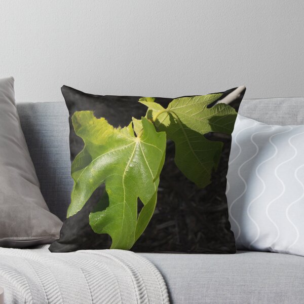 Item preview, Sunlight on fig leaves designed and sold by polyhymnia14.