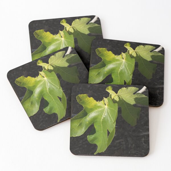 Item preview, Sunlight on fig leaves designed and sold by polyhymnia14.
