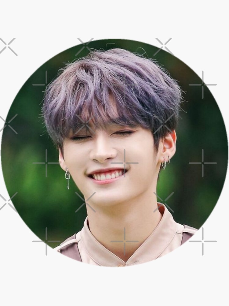 Stray Kids Lee Know Minho Sticker for Sale by straykings