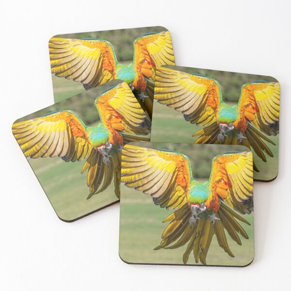 Item preview, Catalina Macaw in Flight designed and sold by KarenWillshaw.