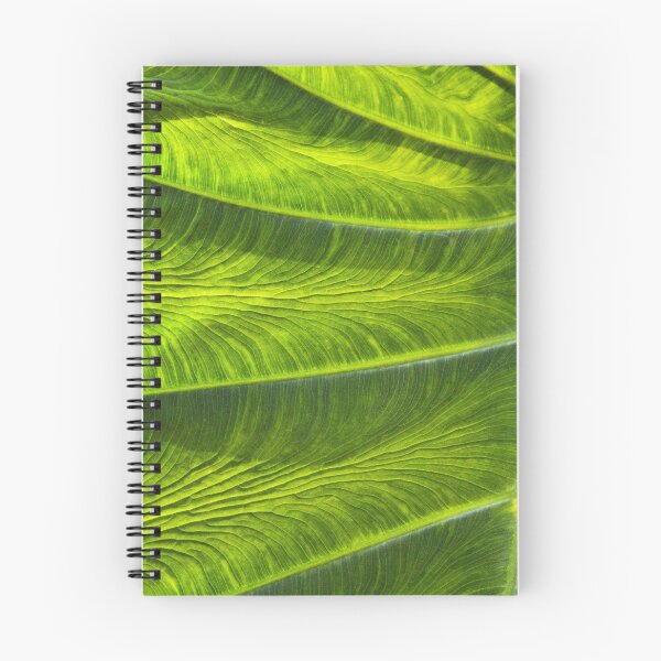 Item preview, Leaf designed and sold by Thaddeus Zajdowicz.